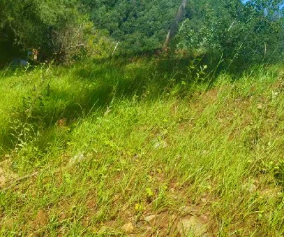 柳關欒盧鉛鋅礦|治理排土“瘡疤”，繪就綠色畫卷